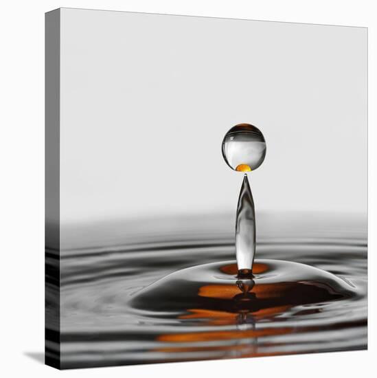 The Orange Drop-Heidi Westum-Premier Image Canvas