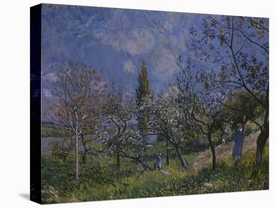 The Orchard, 1881-Alfred Sisley-Premier Image Canvas