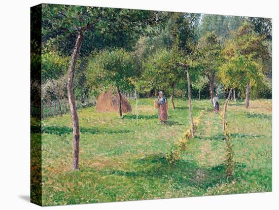 The Orchard at Éragny, 1896-Camille Pissarro-Premier Image Canvas