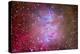 The Orion Nebula Region-Stocktrek Images-Premier Image Canvas