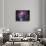 The Orion Nebula-Stocktrek Images-Premier Image Canvas displayed on a wall