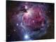 The Orion Nebula-Stocktrek Images-Premier Image Canvas