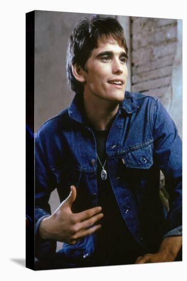 THE OUTSIDERS, 1982 directed by FRANCIS FORD COPPOLA Matt Dillon (photo)-null-Stretched Canvas