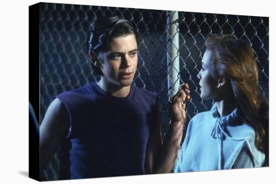 THE OUTSIDERS, 1982 directed by FRANCIS FORD COPPOLA Thomas C. Howell and Diane Lane (photo)-null-Stretched Canvas