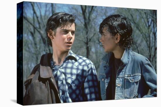 THE OUTSIDERS, 1982 directed by FRANCIS FORD COPPOLA Thomas C. Howell and Ralph macchio (photo)-null-Stretched Canvas