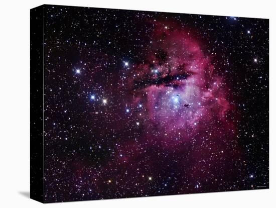 The Pacman Nebula-Stocktrek Images-Premier Image Canvas