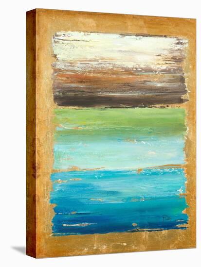 The Palette-Patricia Pinto-Stretched Canvas