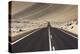 The Panamerican Highway Slices Through the Northern Atacama Desert in Northern Chile-Sergio Ballivian-Premier Image Canvas
