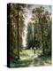 The Path Through the Woods, 1880-Ivan Ivanovitch Shishkin-Premier Image Canvas