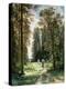 The Path Through the Woods, 1880-Ivan Ivanovitch Shishkin-Premier Image Canvas