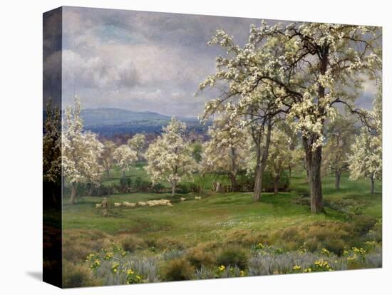 The Pear Orchard, C.1903-Alfred Parsons-Premier Image Canvas