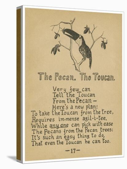 The Pecan. The Toucan.-Robert Williams Wood-Stretched Canvas