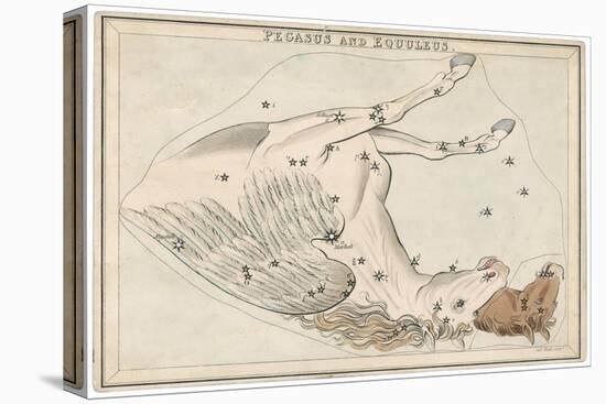 The Pegasus and Equuleus Constellation-Sidney Hall-Stretched Canvas