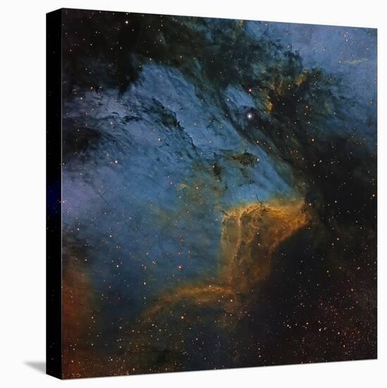 The Pelican Nebula, an H Ii Region in the Constellation Cygnus-null-Premier Image Canvas