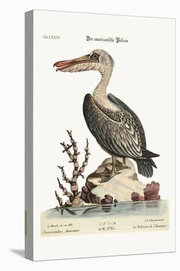 The Pelican of America, 1749-73-George Edwards-Premier Image Canvas