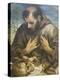 The Penitent St Francis, C.1585-Annibale Carracci-Premier Image Canvas