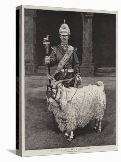The Pet Goat of the Welsh Regiment-null-Premier Image Canvas