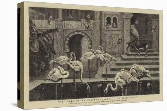 The Pets of an Eastern Palace, a Tunisian Study-Harry Hamilton Johnston-Premier Image Canvas