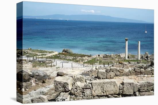 The Phoenician Roman Port of Tharros, Sardinia, Italy, Mediterranean, Europe-Oliviero Olivieri-Premier Image Canvas