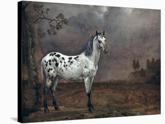 The Piebald Horse, 1653-Paulus Potter-Premier Image Canvas