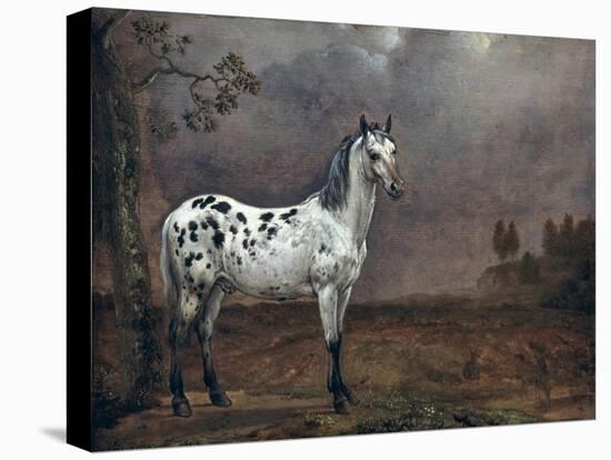 The Piebald Horse, 1653-Paulus Potter-Premier Image Canvas