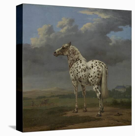 The "Piebald" Horse, c.1650-4-Paulus Potter-Premier Image Canvas