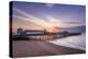 The pier at Hastings at sunrise, Hastings, East Sussex, England, United Kingdom, Europe-Andrew Sproule-Premier Image Canvas