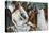 The Pieta-Jean Fouquet-Premier Image Canvas