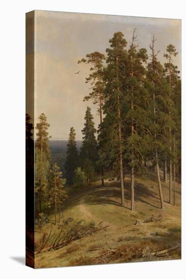 The Pine Forest, 1895-Ivan Ivanovich Shishkin-Premier Image Canvas