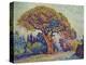 The Pine Tree at St, Tropez, 1909-Paul Signac-Premier Image Canvas