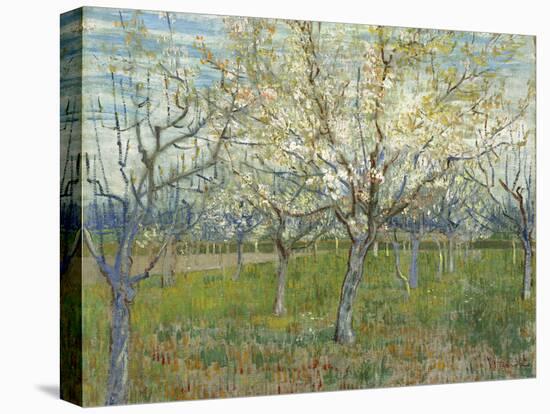 The Pink Orchard, 1888-Vincent van Gogh-Premier Image Canvas