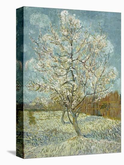 The Pink Peach Tree, 1888-Vincent van Gogh-Premier Image Canvas