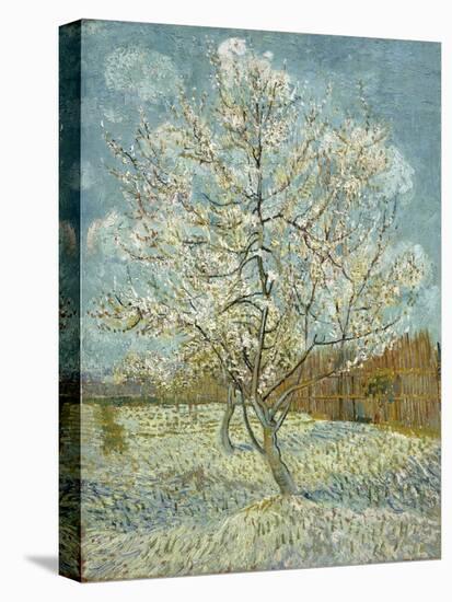 The Pink Peach Tree. Arles, April-May 1888-Vincent van Gogh-Premier Image Canvas