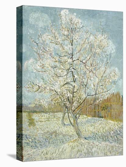 The Pink Peach Tree-Vincent van Gogh-Premier Image Canvas