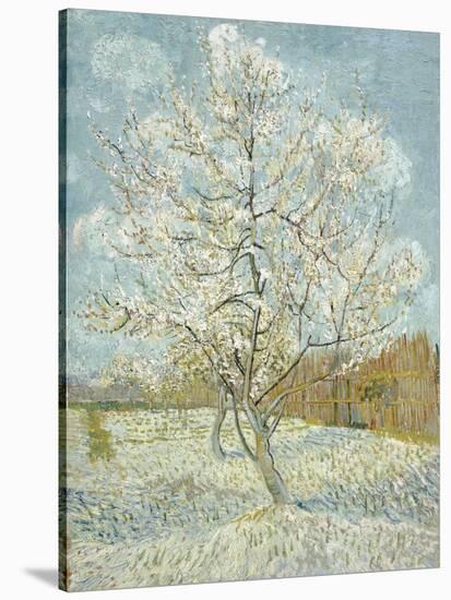 The Pink Peach Tree-Vincent van Gogh-Premier Image Canvas