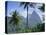 The Pitons, St. Lucia, Caribbean, West Indies-John Miller-Premier Image Canvas