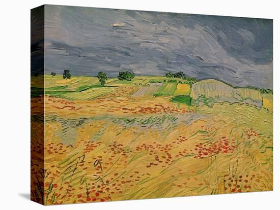 The Plain at Auvers, c.1890-Vincent van Gogh-Premier Image Canvas