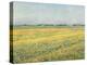 The Plain of Gennevilliers, Yellow Fields; La Plaine De Gennevilliers, Champs Jaunes, 1884 (Oil on-Gustave Caillebotte-Premier Image Canvas