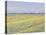 The Plain of Gennevilliers, Yellow Fields-Gustave Caillebotte-Premier Image Canvas