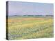 The Plain of Gennevilliers, Yellow Fields-Gustave Caillebotte-Premier Image Canvas