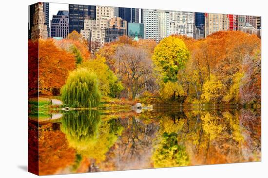The Pond in Central Park, Manhattan, New York City-Sabine Jacobs-Premier Image Canvas