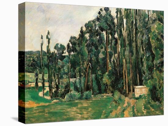 The Poplars-Paul Cézanne-Premier Image Canvas