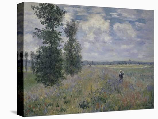 The Poppy Field, Argenteuil-Claude Monet-Premier Image Canvas