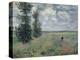 The Poppy Field-Claude Monet-Premier Image Canvas