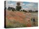 The Poppy Field-Claude Monet-Premier Image Canvas