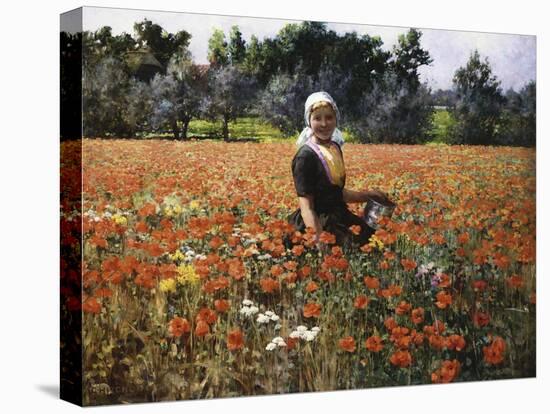 The Poppy Field-George Hitchcock-Premier Image Canvas