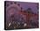 The Popular Midway Section of the New York State Fair-Michael Okoniewski-Premier Image Canvas