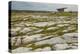 The Poulnabrone dolmen, prehistoric slab burial chamber, The Burren, County Clare, Munster, Republi-Nigel Hicks-Premier Image Canvas