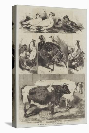 The Poultry and Cattle Show at Birmingham-Harrison William Weir-Premier Image Canvas