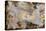 The Power of Eloquence-Giambattista Tiepolo-Premier Image Canvas